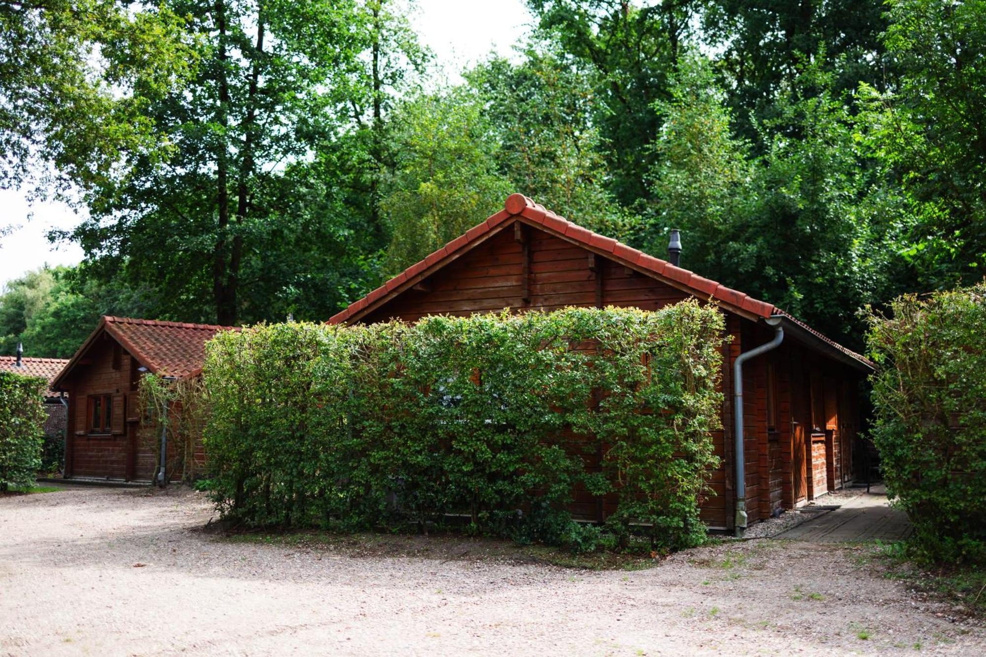 Sfeervolle Blokhut Met Fijne Buitenruimte @ Veluwe Epe Exterior foto
